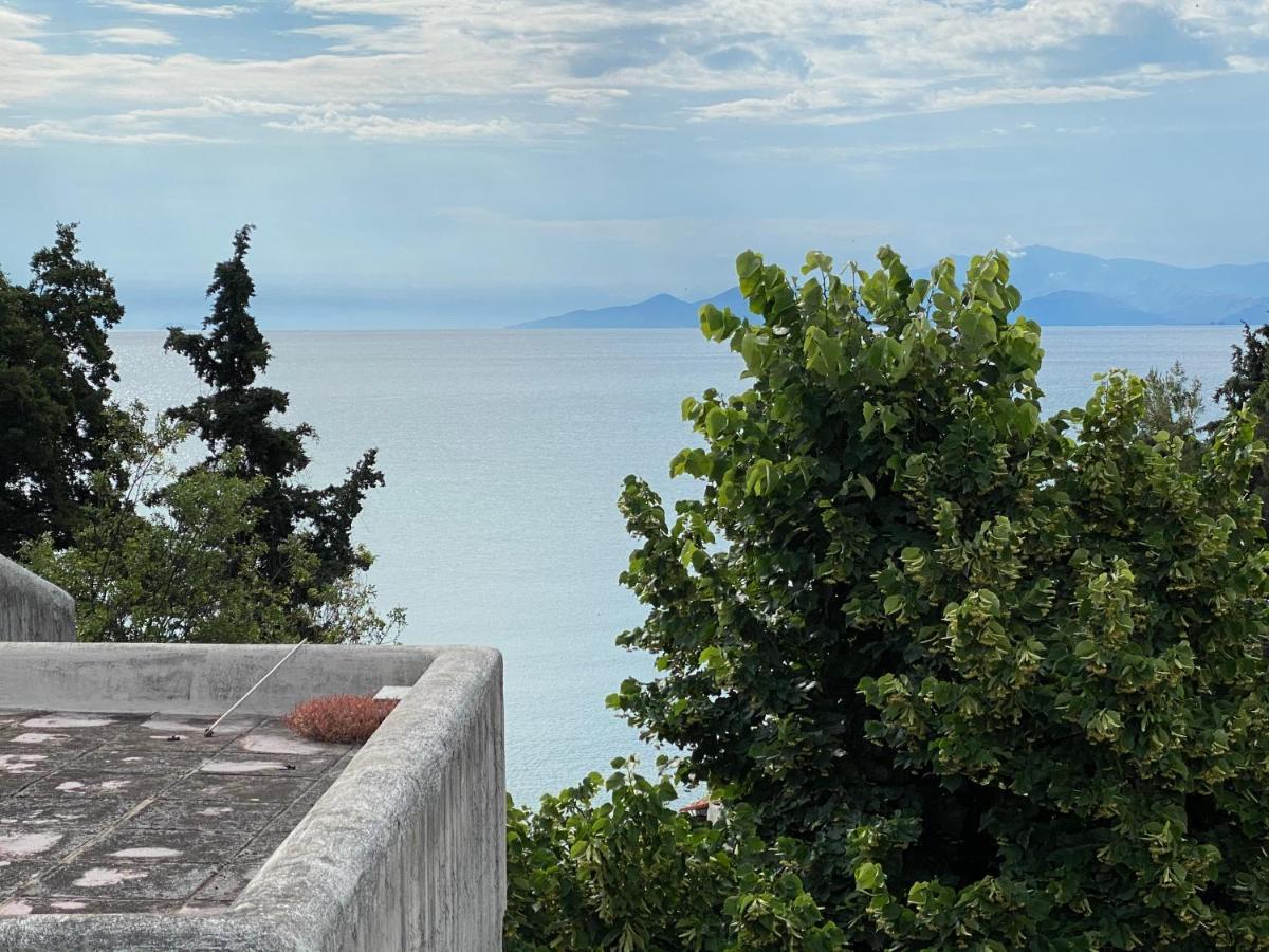 Irini Seaside Apartment PalaiónTsiflíkion Zewnętrze zdjęcie
