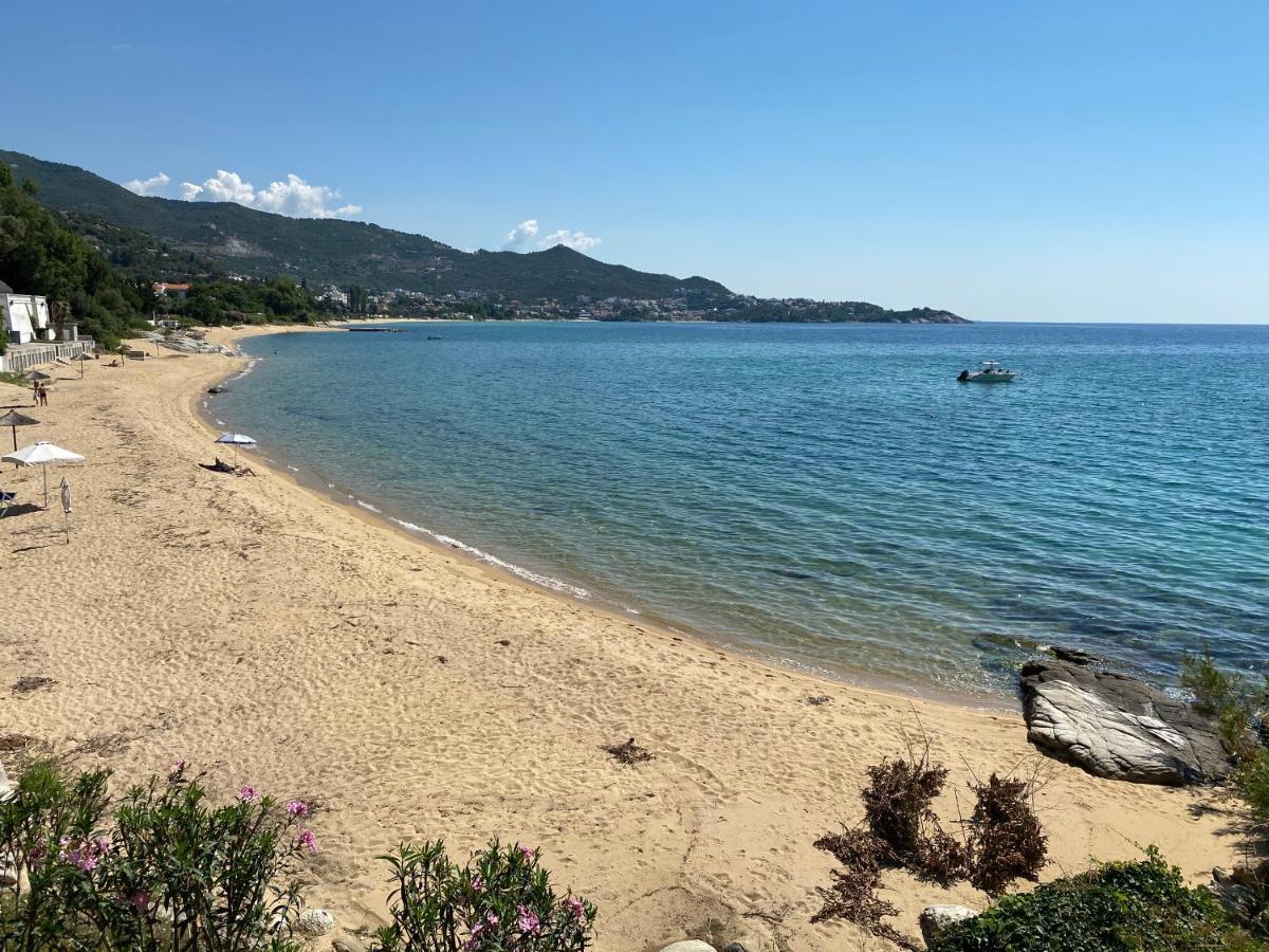 Irini Seaside Apartment PalaiónTsiflíkion Zewnętrze zdjęcie