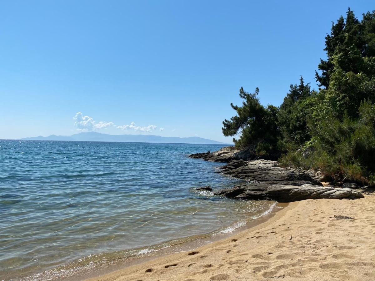 Irini Seaside Apartment PalaiónTsiflíkion Zewnętrze zdjęcie