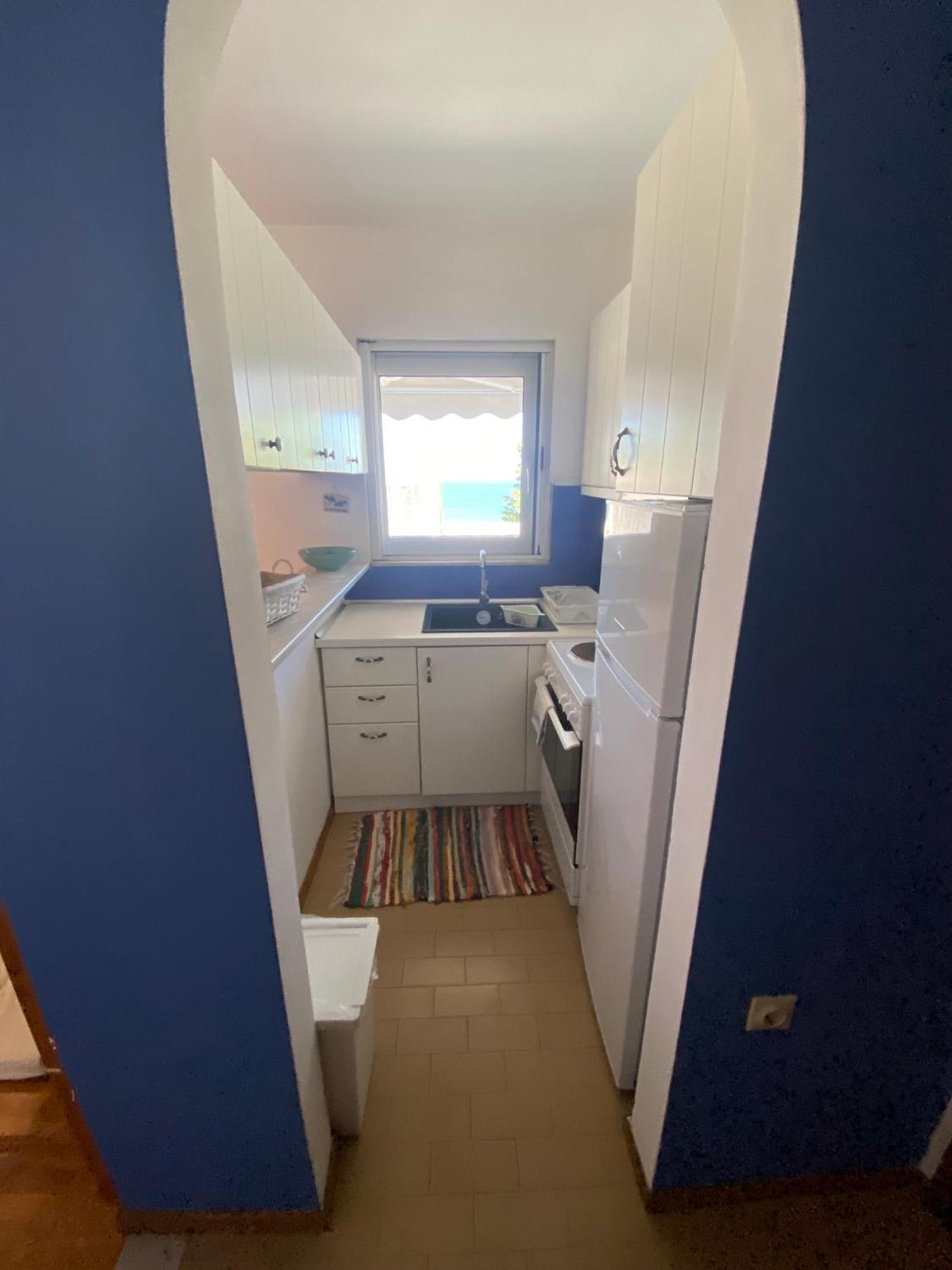 Irini Seaside Apartment PalaiónTsiflíkion Zewnętrze zdjęcie